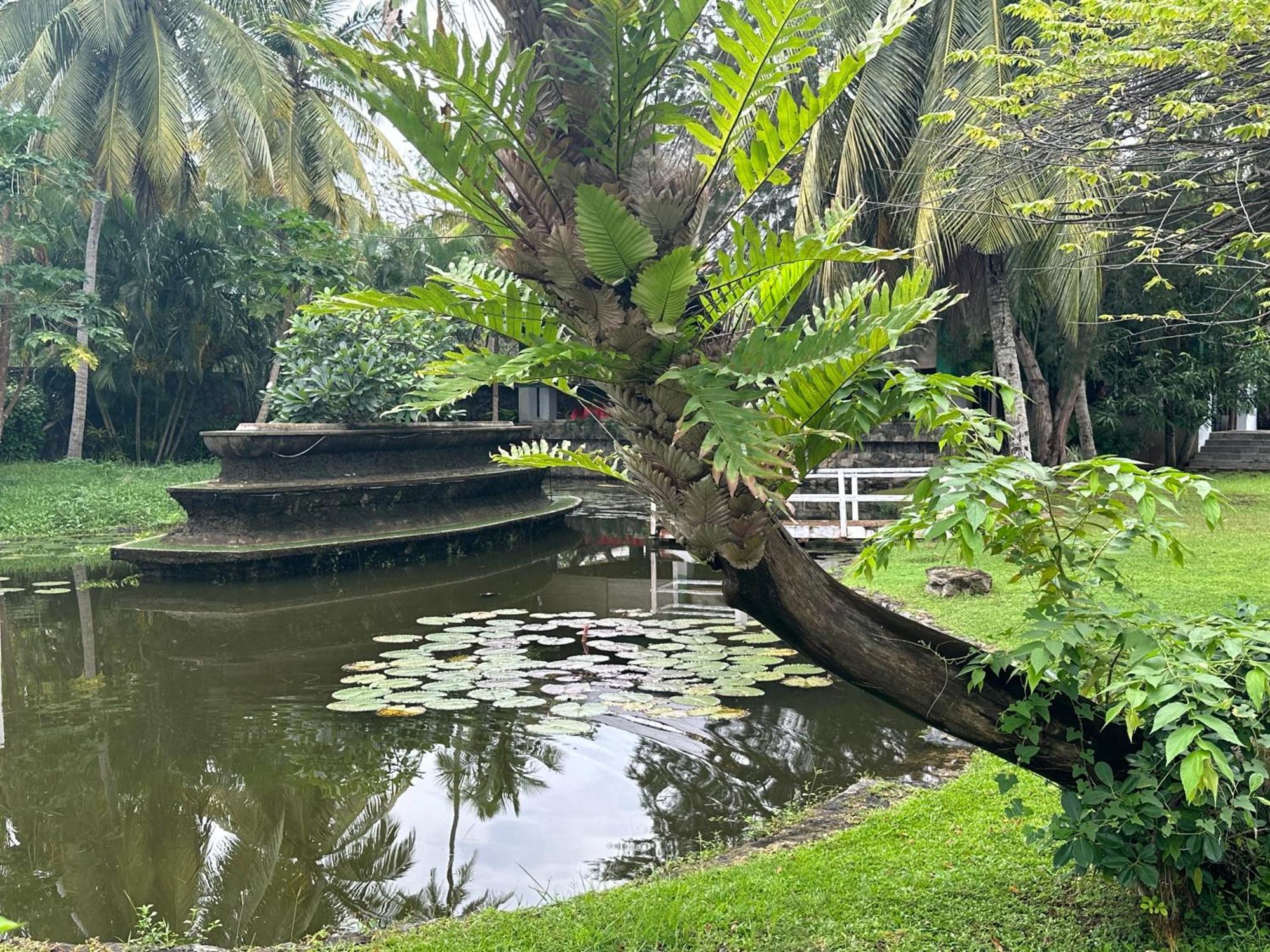 Amaluna Resorts Negombo Ngoại thất bức ảnh